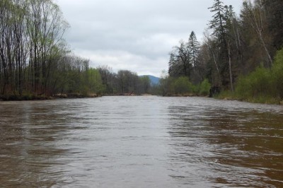 водица ржавее амурской