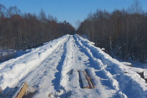 Вид моста через Кур!