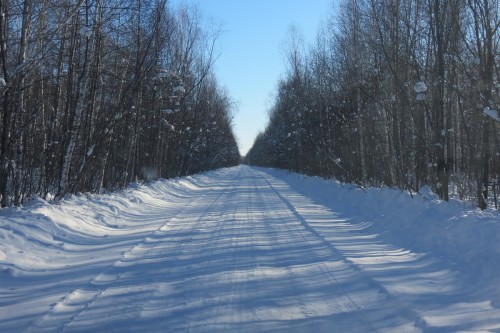 Дорога на Санболи шикарная.