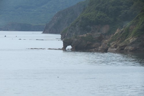 слоник на острове